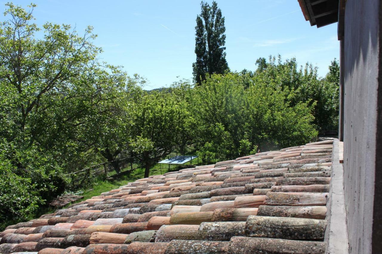 El Zarzal Guest House Horche Bagian luar foto