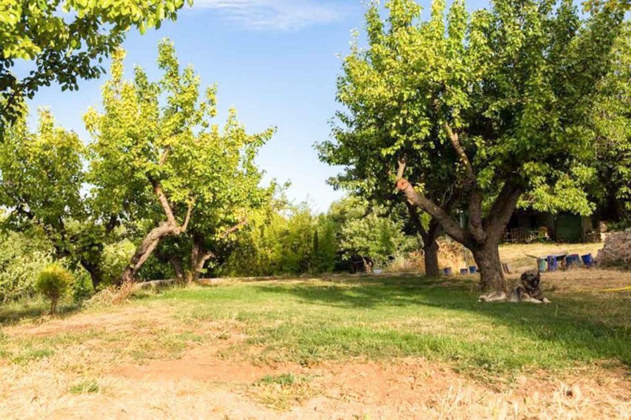 El Zarzal Guest House Horche Bagian luar foto